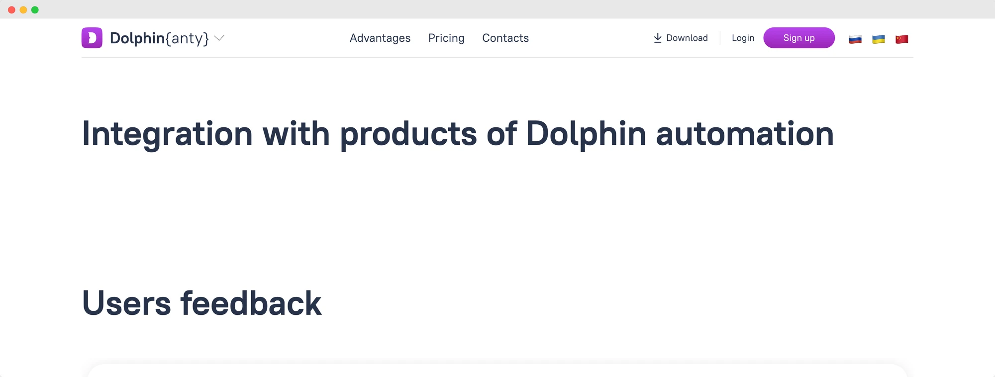 dolphin anty