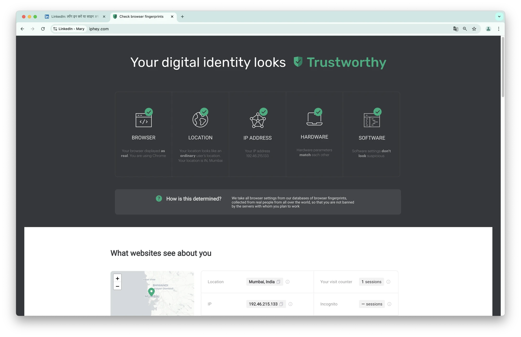 1browser review